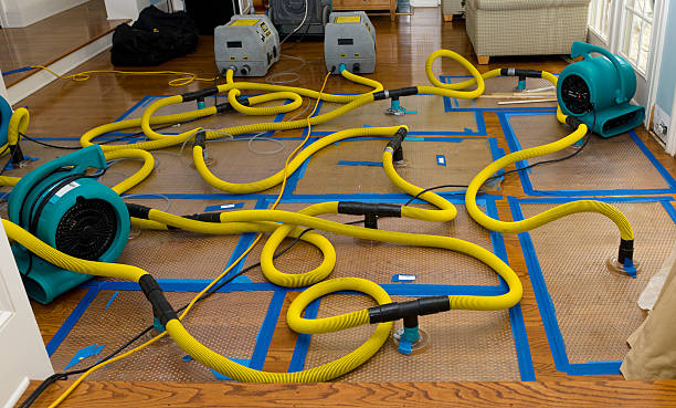Professional Sewage Cleanup technician working in Lamar, TX
